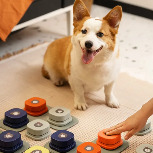 Pet Communication Button for Dogs & Cats – Recordable Training Toy