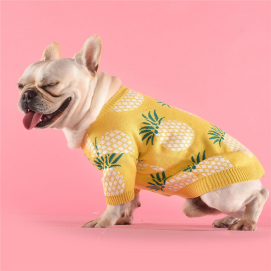 Cute Warm Dog Sweater - Pineapple Knit Design
