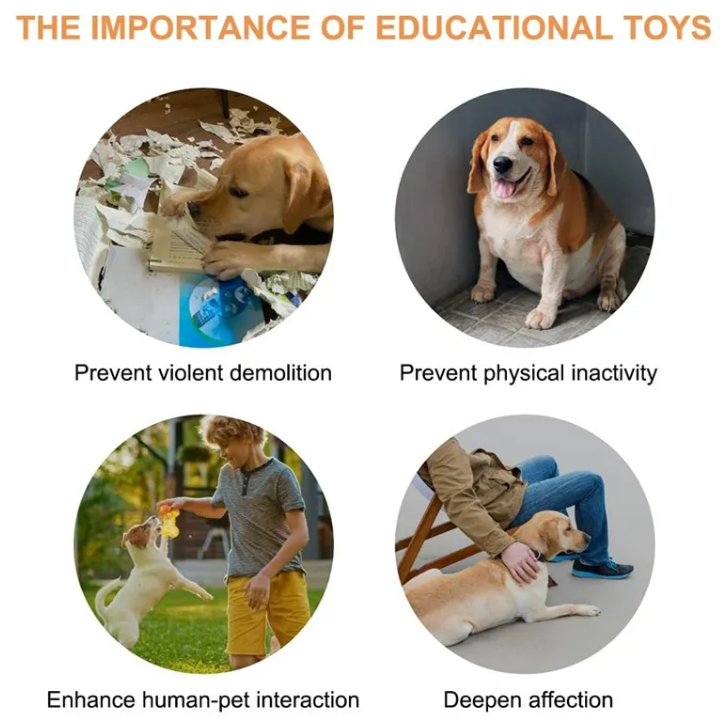 Pet Communication Button for Dogs & Cats – Recordable Training Toy