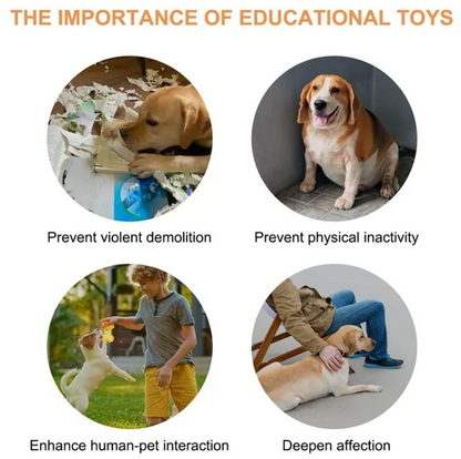Pet Communication Button for Dogs & Cats – Recordable Training Toy