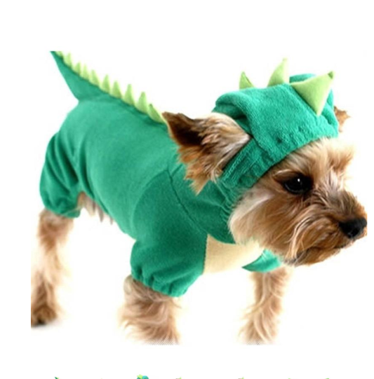 Halloween Dinosaur Costume for Small Dogs – Cute Dog Halloween Outfit