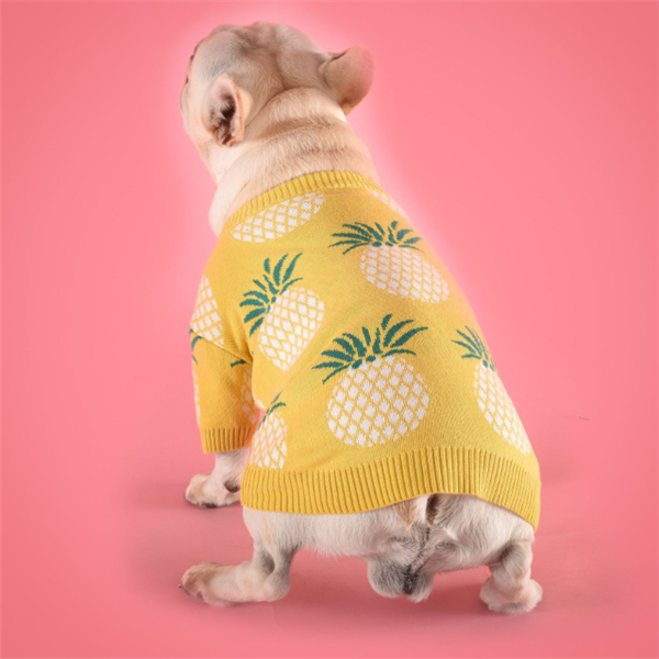 Cute Warm Dog Sweater - Pineapple Knit Design