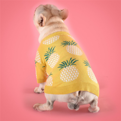 Cute Warm Dog Sweater - Pineapple Knit Design