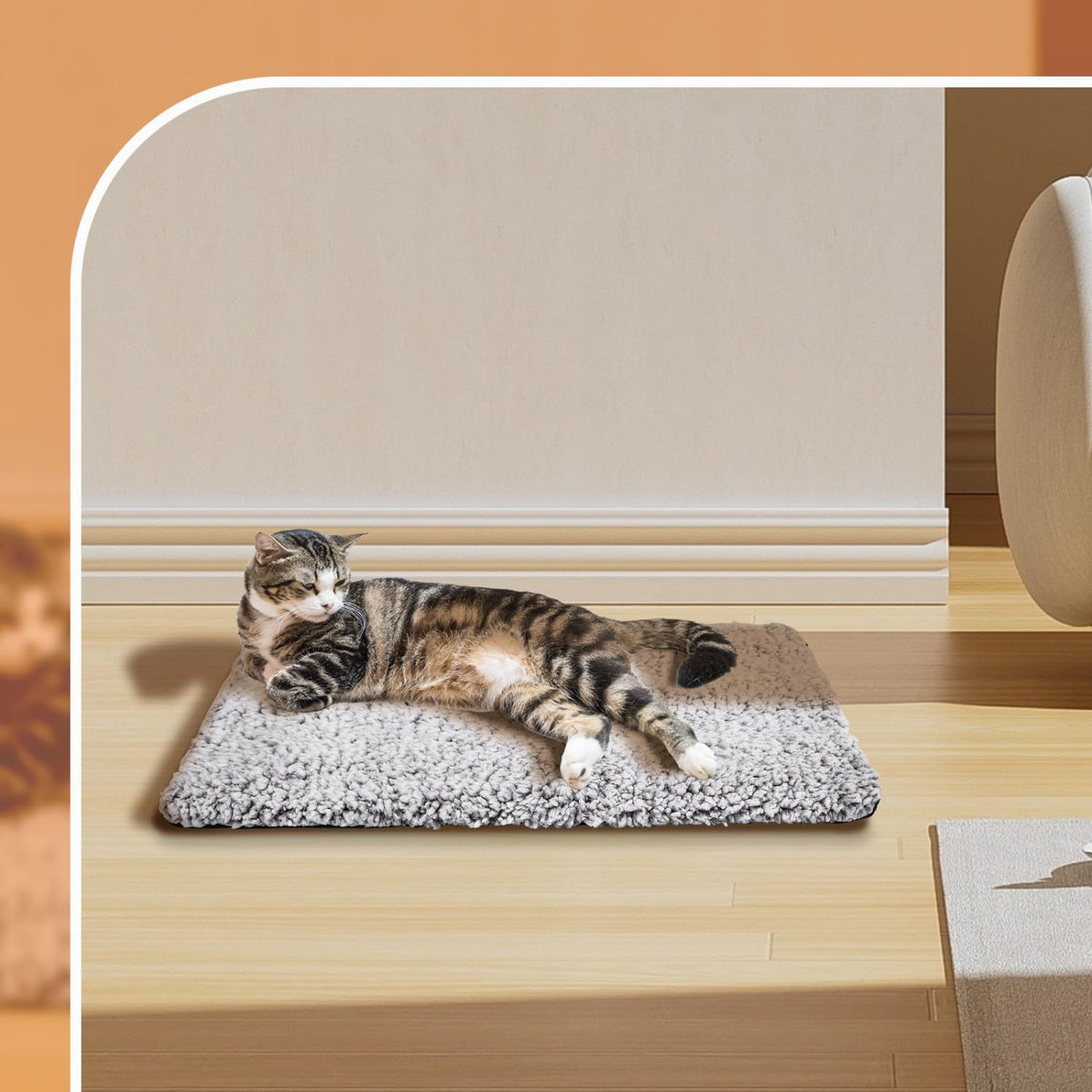 Self-Heating Pet Mat for Dogs & Cats – Warm Winter Thermal Blanket